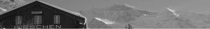 Hirschen - Wengen